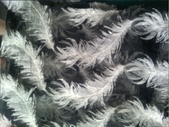Картина organza белого пера вышила ткани шнурка хлопка для одеяния