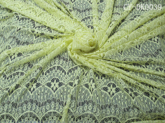 Новая полость нейлона прибытия scalloped вспомогательное оборудование одежды платья шнурка ткани (CY-DK0039)